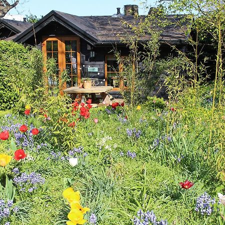 Bluebell Cottage - 27635 Darenth 외부 사진
